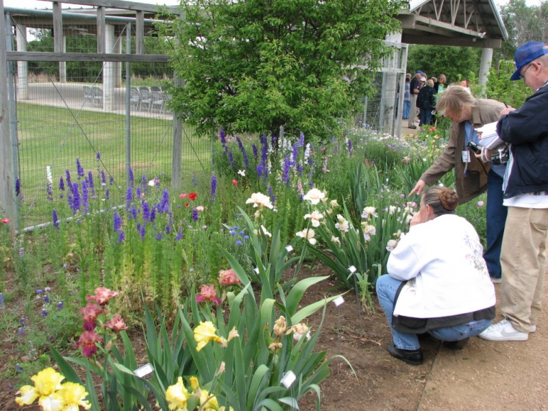 Shirley Trio gets a close-up view of some guest irises